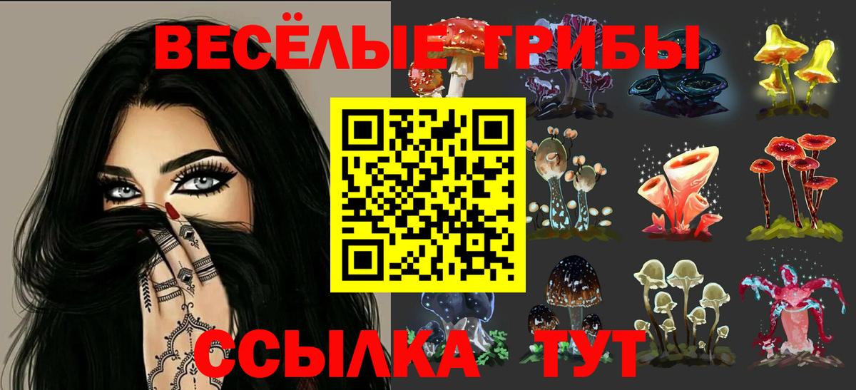 Ростов-на-Дону  Галлюциногенные грибы Cubensis  Вход с VPN 