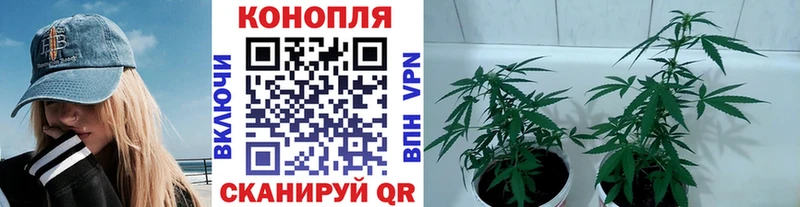 кракен как зайти  Ростов-на-Дону  Каннабис семена 